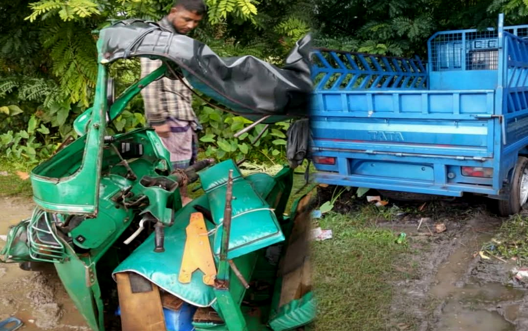 বিশ্বনাথে সড়ক দুর্ঘটনায় অটো চালক নিহত