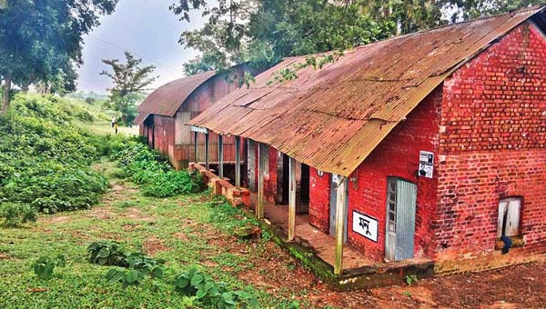 পরিত্যক্ত ৭ রেলস্টেশন : নেই জনবল, থামে না ট্রেন