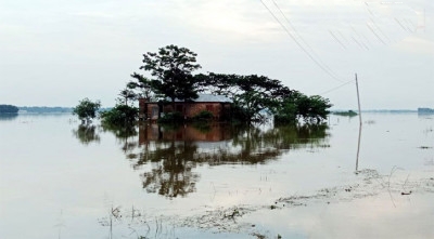 মৌলভীবাজারে বন্যায় প্রায় দশ কোটি টাকা মৎস্য সম্পদের ক্ষতি