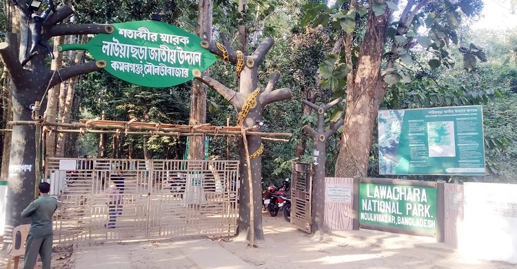পর্যটকশূন্য &lsquo;চায়ের রাজধানী&rsquo;