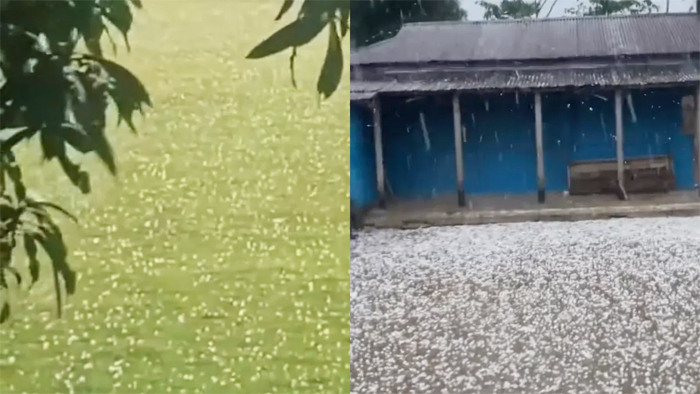 সুনামগঞ্জে ব্যাপক শিলাবৃষ্টি, ফসল নিয়ে শঙ্কায় কৃষক