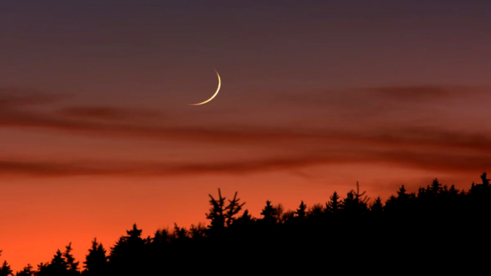 এ বছর পবিত্র রমজান ২৯ নাকি ৩০ দিন