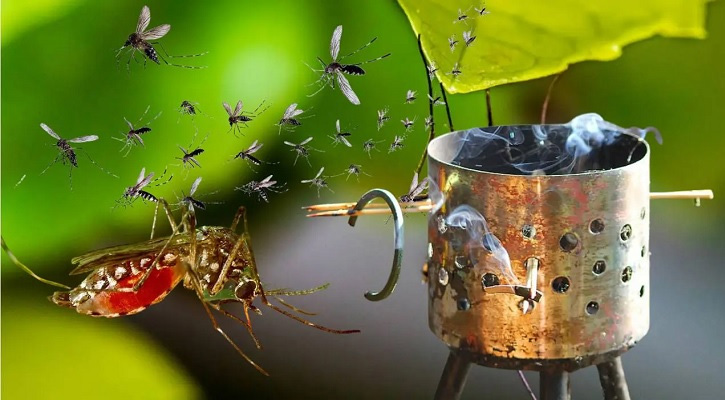 মশা তাড়ানোর ঘরোয়া উপায়