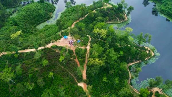 শরতের নীলিমায় পর্যটকের হাতছানি, পূজার ছুটিতে প্রস্তুত মৌলভীবাজার