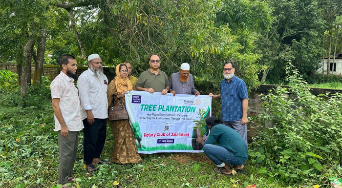 রাজনগরে রোটারি ক্লাব অব জালালাবাদের বৃক্ষরোপণ কর্মসূচী পালিত