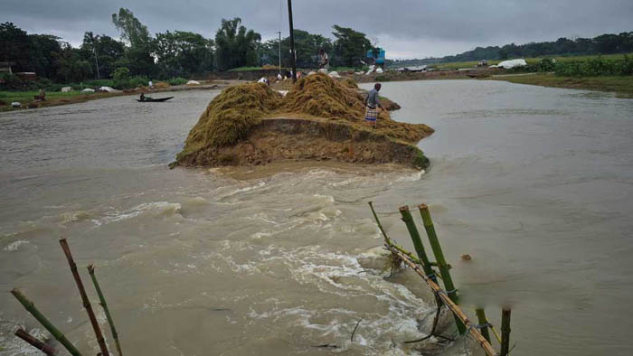 মধ্যনগরে ভেঙেছে বাঁধ, ডুবছে ইকড়াছই হাওরের পাকা ধান
