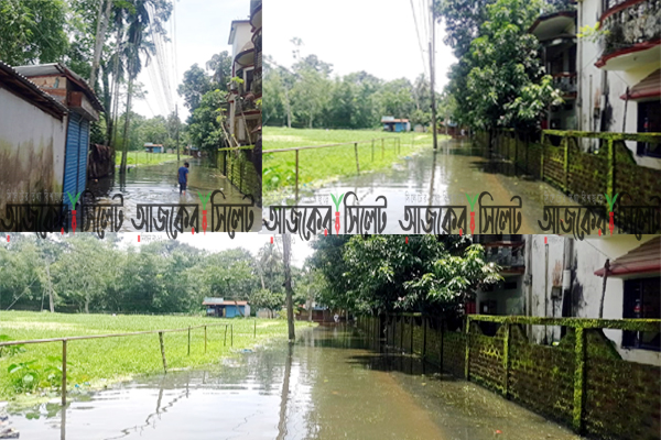 বন্যার তাণ্ডবে বিপর্যস্ত জনজীবন: পানিবন্দি লক্ষাধিক মানুষ