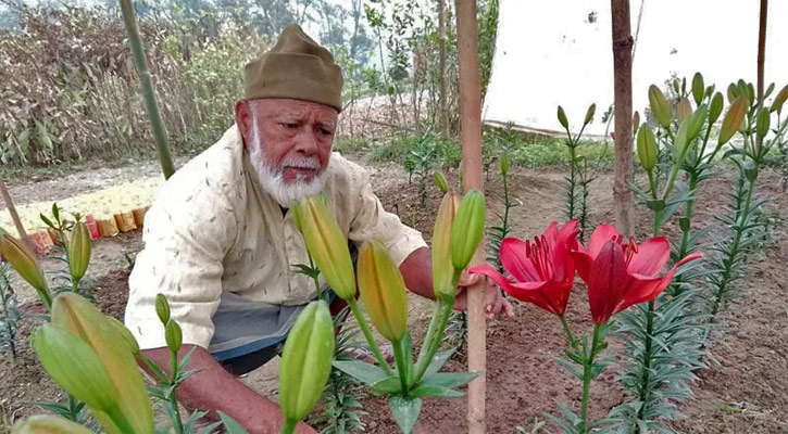 বাংলাদেশের মাটিতে বিদেশি &lsquo;লিলিয়াম&rsquo; ফুল