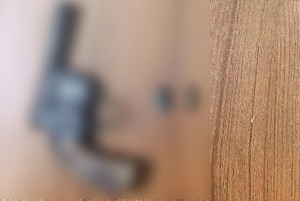 শতবর্ষী বটগাছের নিচে গুলিসহ বাটযুক্ত পিস্তল উদ্ধার