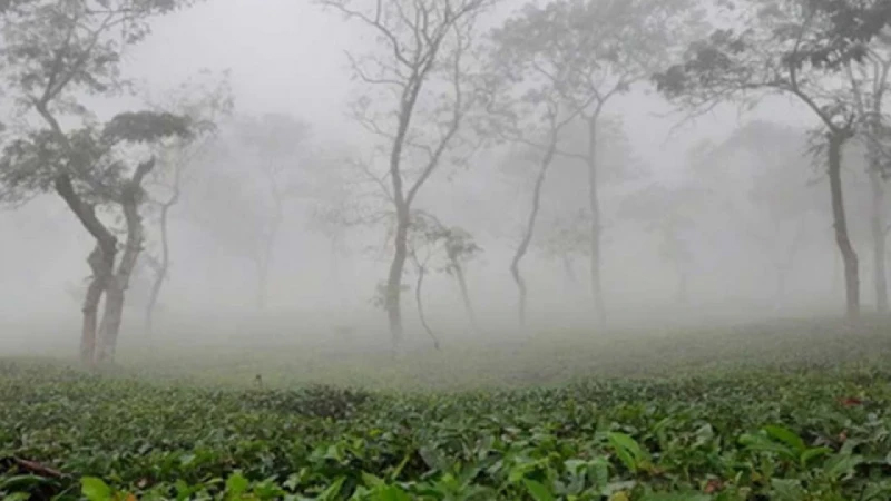 শ্রীমঙ্গলে টানা তিন দিন থেকে দেশের সর্বনিম্ন তাপমাত্রা