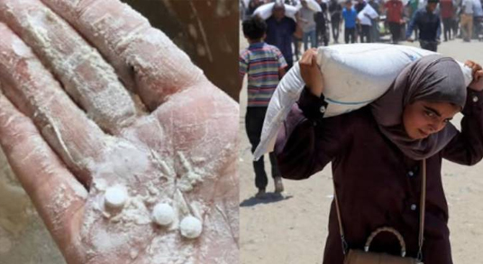 গাজায় ত্রাণের আটায় মিলেছে মাদকজাত ট্যাবলেট
