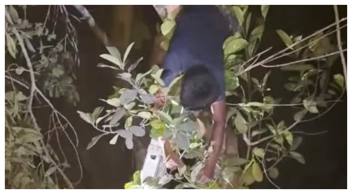 গাছের ডাল কাটতে গিয়ে বিদ্যুৎস্পৃষ্টে নিহত ২