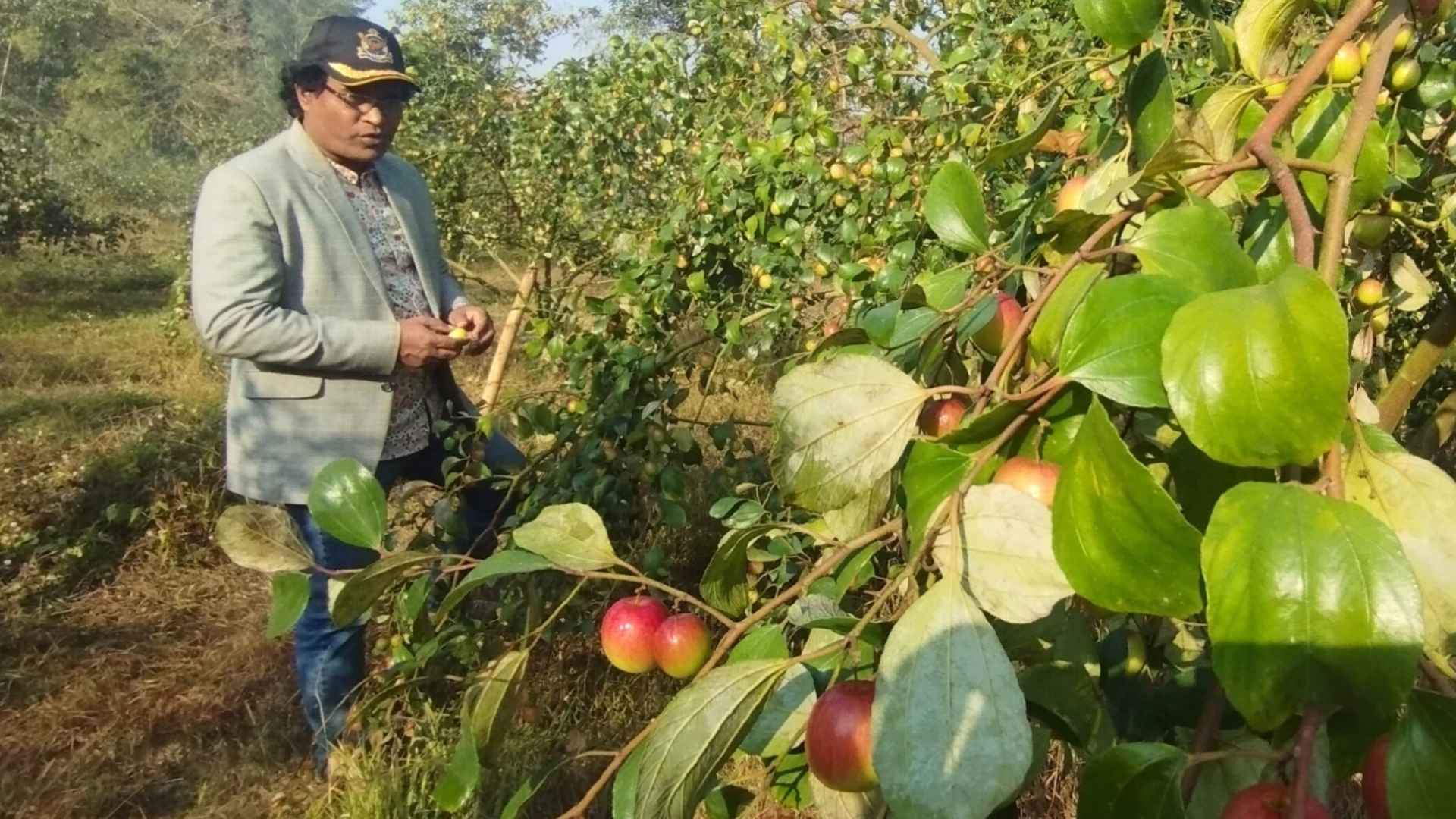 সুবিধাবঞ্চিতদের পড়ালেখা করাতে কৃষি উদ্যোক্তার 'বরই বাগান'