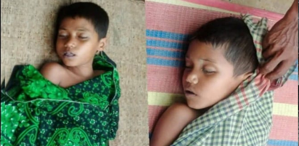 চুনারুঘাটে পুকুরে ডুবে ভাই-বোনের মৃত্যু