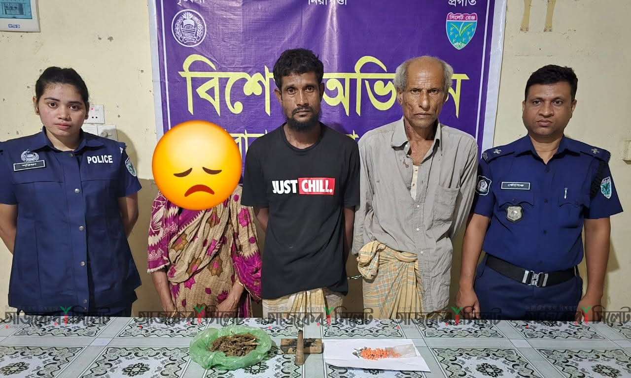দোয়ারাবাজারে ইয়াবা ও গাঁজাসহ আটক ৩