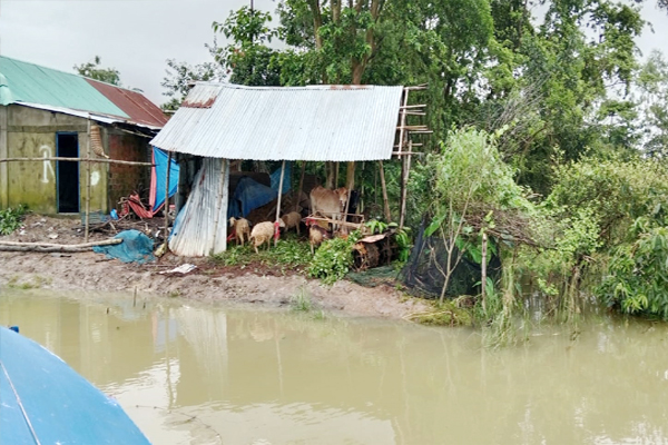 গোয়াইনঘাটে বন্যা পরিস্থিতির কিছুটা উন্নতি