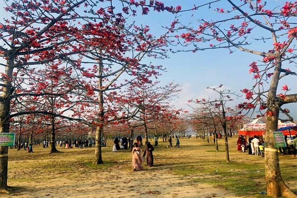 বসন্তে অপরূপ সৌন্দর্যে শিমুল বাগান