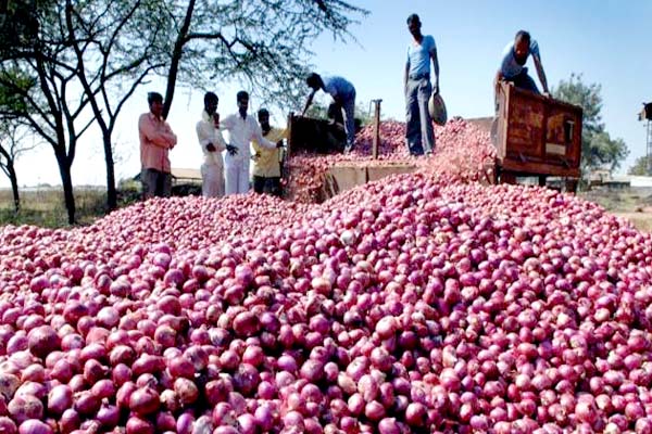 পেঁয়াজ রপ্তানি থেকে নিষেধাজ্ঞা তুলল ভারত