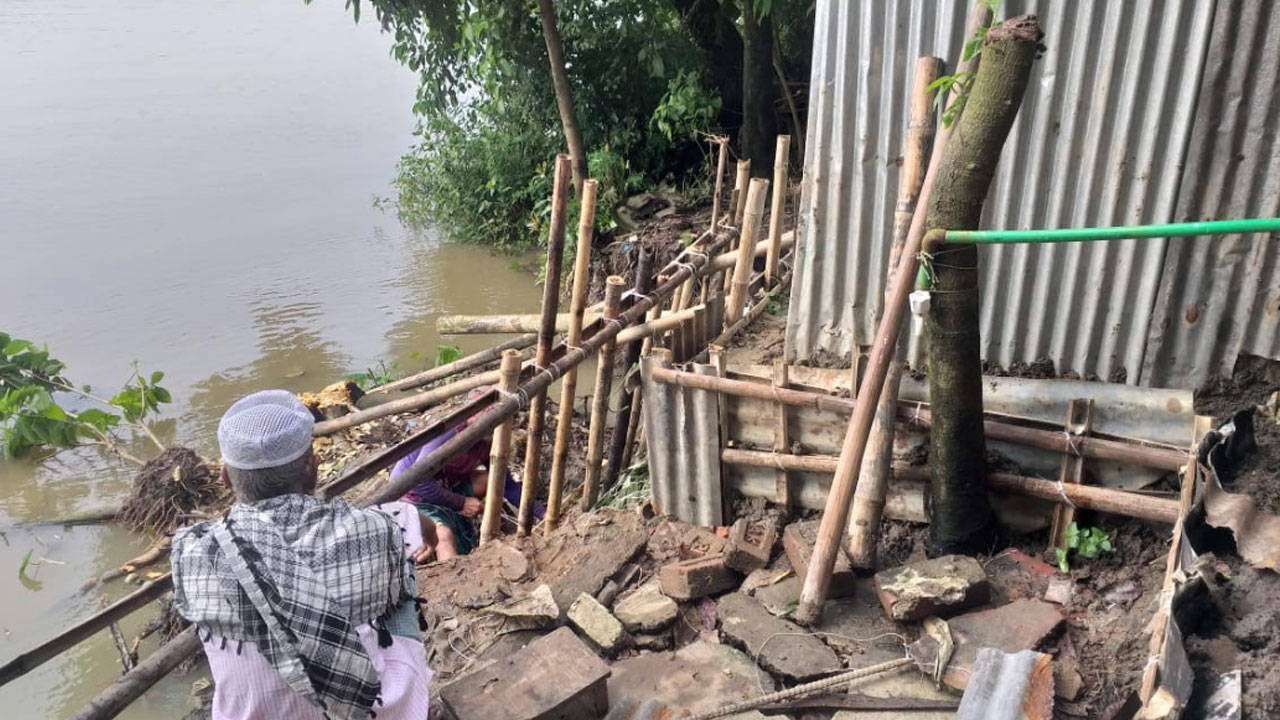 নদী গিলে খাচ্ছে মির্জাপুর গ্রাম