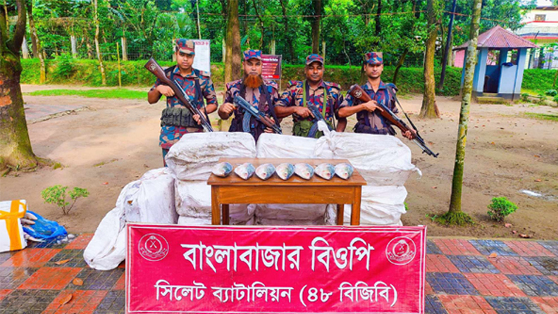 ভারতে পাচারের সময় ২৭৫ কেজি ইলিশ জব্দ