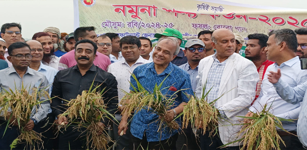 এ বছর দেশে খাদ্য সংকটের কোনো সম্ভাবনা নেই : কৃষি উপদেষ্টা