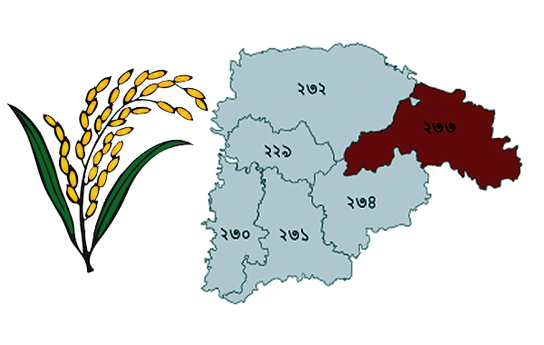 সিলেটের পাঁচটি আসনে বিজয়ের জন্য প্রস্তুত বিএনপি