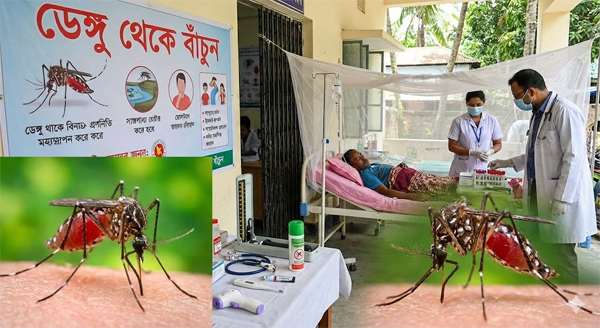 সিলেটে ২৪ ঘণ্টায় ১৫ জনের ডেঙ্গু শনাক্ত