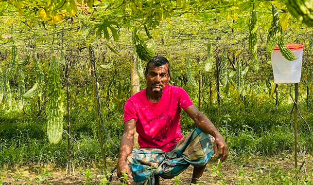 করলা চাষে গ্রামের নামই পাল্টে দিয়েছেন কৃষকরা!
