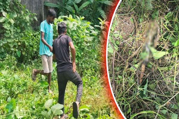সিলেটে ট্রিপল হত্যাকাণ্ডে ব্যবহৃত ছোরা উদ্ধার