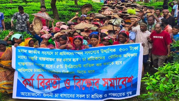 চার দাবিতে গুলনী চা বাগানে তৃতীয় দিনের কর্মবিরতি