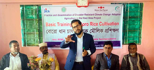 শান্তিগঞ্জে বোরো ধান চাষ বিষয়ক মৌলিক প্রশিক্ষণ
