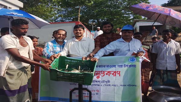 শাল্লায় মাছের পোনা অবমুক্ত, ব্যানারে প্রধান অতিথির নাম থাকলেও অনুপস্থিত