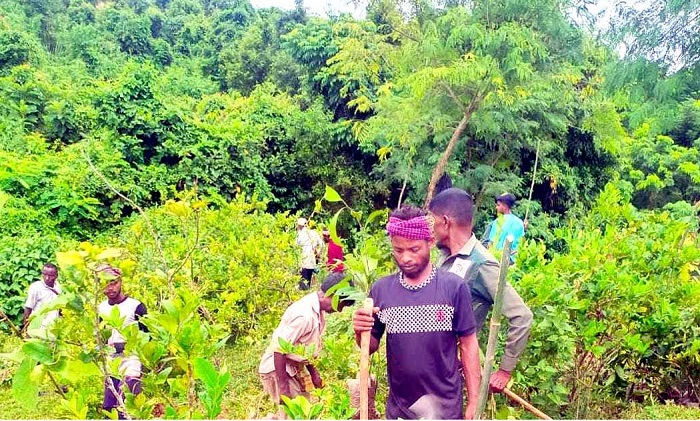 আব্দুস শহীদের দখলে থাকা লাউয়াছড়ার বনভূমি উদ্ধার