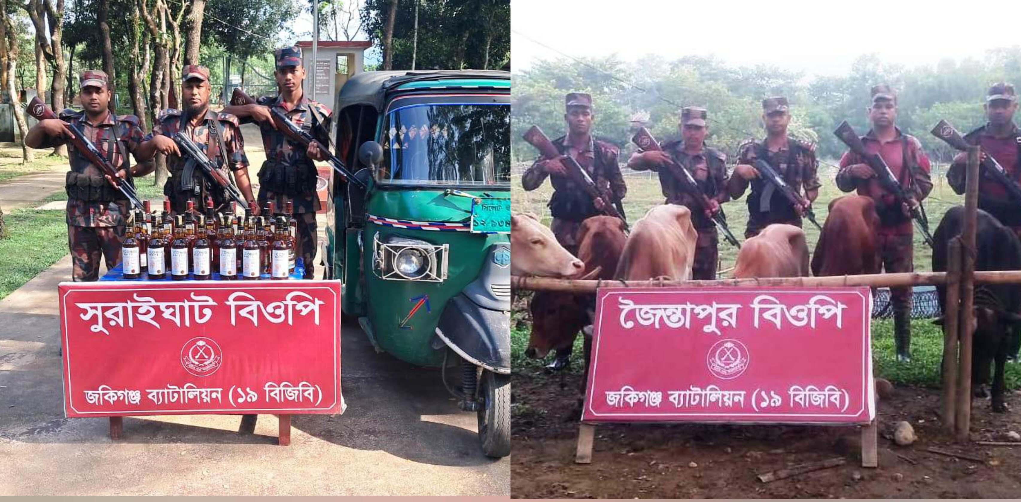জৈন্তাপুর ও কানাইঘাটে বিপুল পরিমান ভারতীয় মদ ও গরু জব্দ