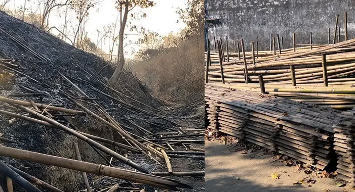 মৌলভীবাজারে ২৩ বাঁশমহালে লুটের মহোৎসব