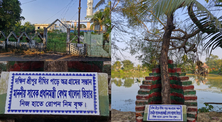 বাবার বাড়ির দরজায় তার রোপণ করা নিম গাছ এখন কেবলই স্মৃতি