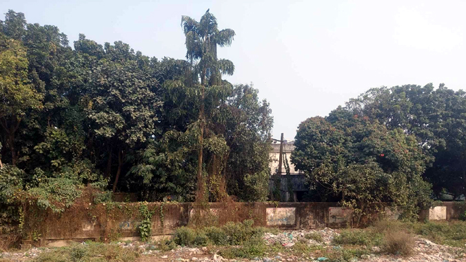 &lsquo;সৌন্দর্যবর্ধনের&rsquo; জন্য ৭০টি গাছ কাটতে চায়  হবিগঞ্জ পৌরসভা