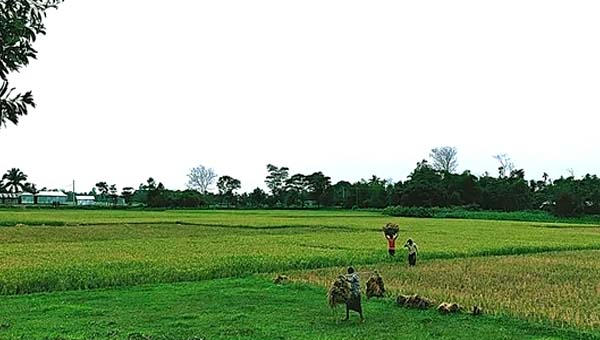 সুনামগঞ্জে ঝুলে আছে ১৩ নদী খনন প্রকল্প