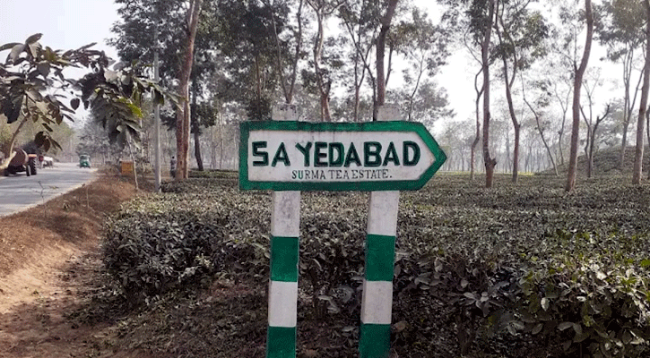 সাতছড়িতে সড়কে গাছ ফেলে ডাকাতি