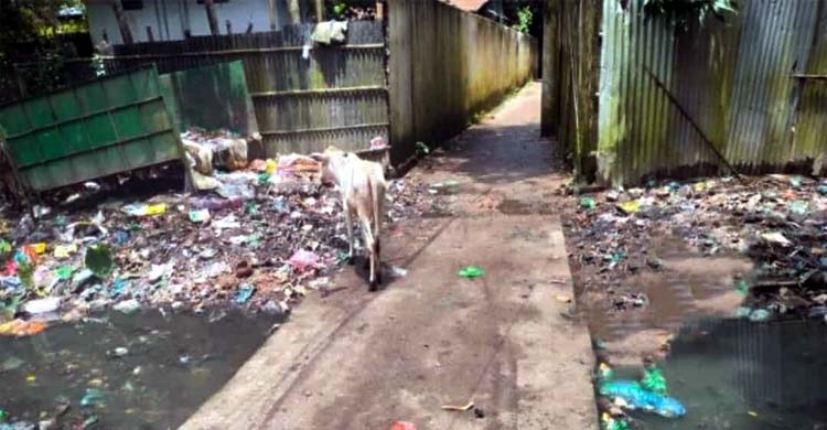 ময়লার দুর্গন্ধে অতিষ্ঠ সুনামগঞ্জবাসী