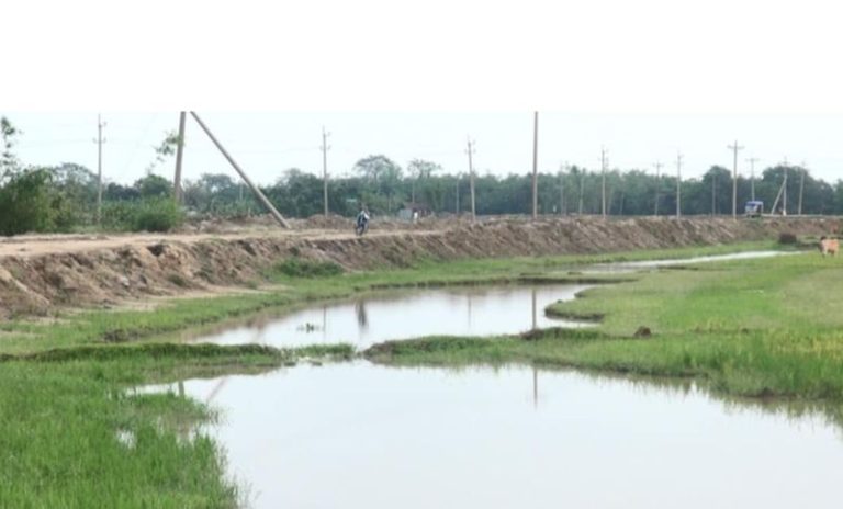 কৃষি জমি কেটে চলছে এলজিইডির সড়ক নির্মাণ