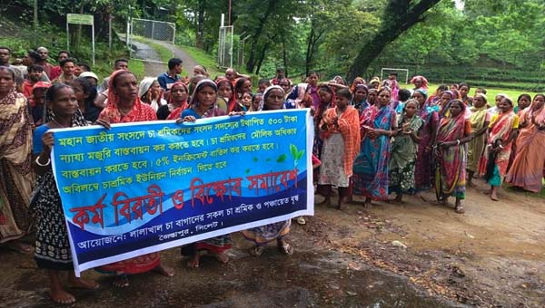 চা শ্রমিকদের চার দফা দাবিতে সিলেটে দুই ঘণ্টার কর্মবিরতি