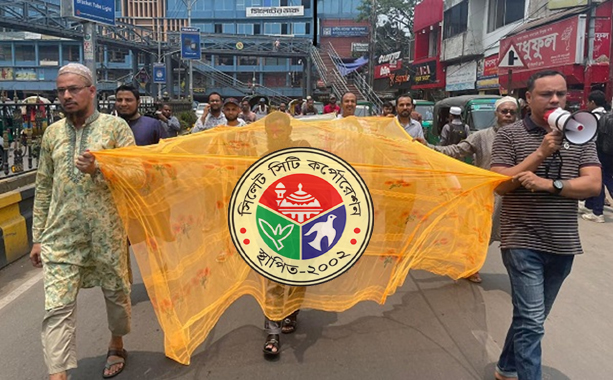 মশার উৎপাত অতিষ্ঠ নগরবাসী