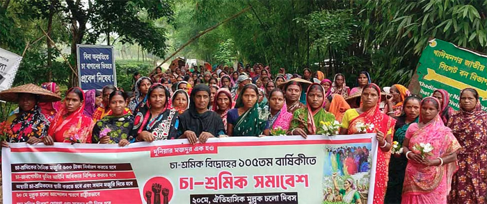 চা শ্রমিকদের &lsquo;মুল্লুক চলো&rsquo; আন্দোলনের রাষ্ট্রীয় স্বীকৃতির দাবি