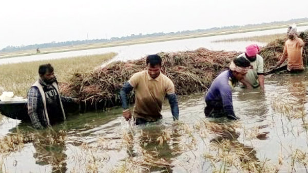 শাল্লায় ক্ষতিগ্রস্ত কৃষকের তালিকায় অনিয়ম, স্থান পেলেন মৃত ব্যক্তিরাও