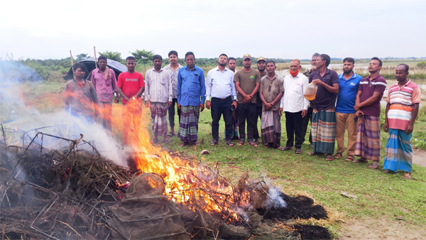 রাতারগুল সোয়াম্প ফরেষ্ট চলছে মৎস্য নিধন পুড়ানো হলো ৩১টি চায়না জাল