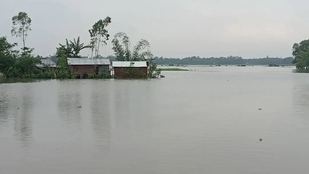 মৌলভীবাজারে পানিবন্দি ৫ শতাধিক পরিবার