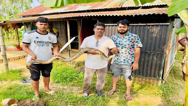 হাইল হাওরে মাছ ধরার জালে আটকা অজগর উদ্ধার