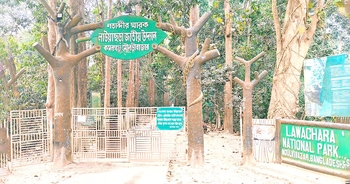 ঈদের ছুটিতে পর্যটকদের পদচারণায় মুখর লাউয়াছড়া জাতীয় উদ্যান