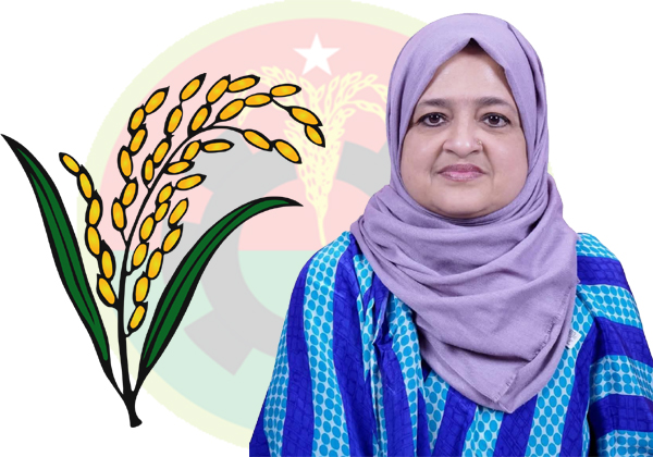 সিলেট-২ আসনে ধানের শীষের প্রার্থী তাহসীনা রুশদীর লুনা